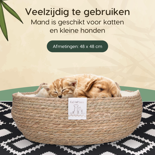 5 Redenen Waarom Honden Dol Zijn op Rieten Manden