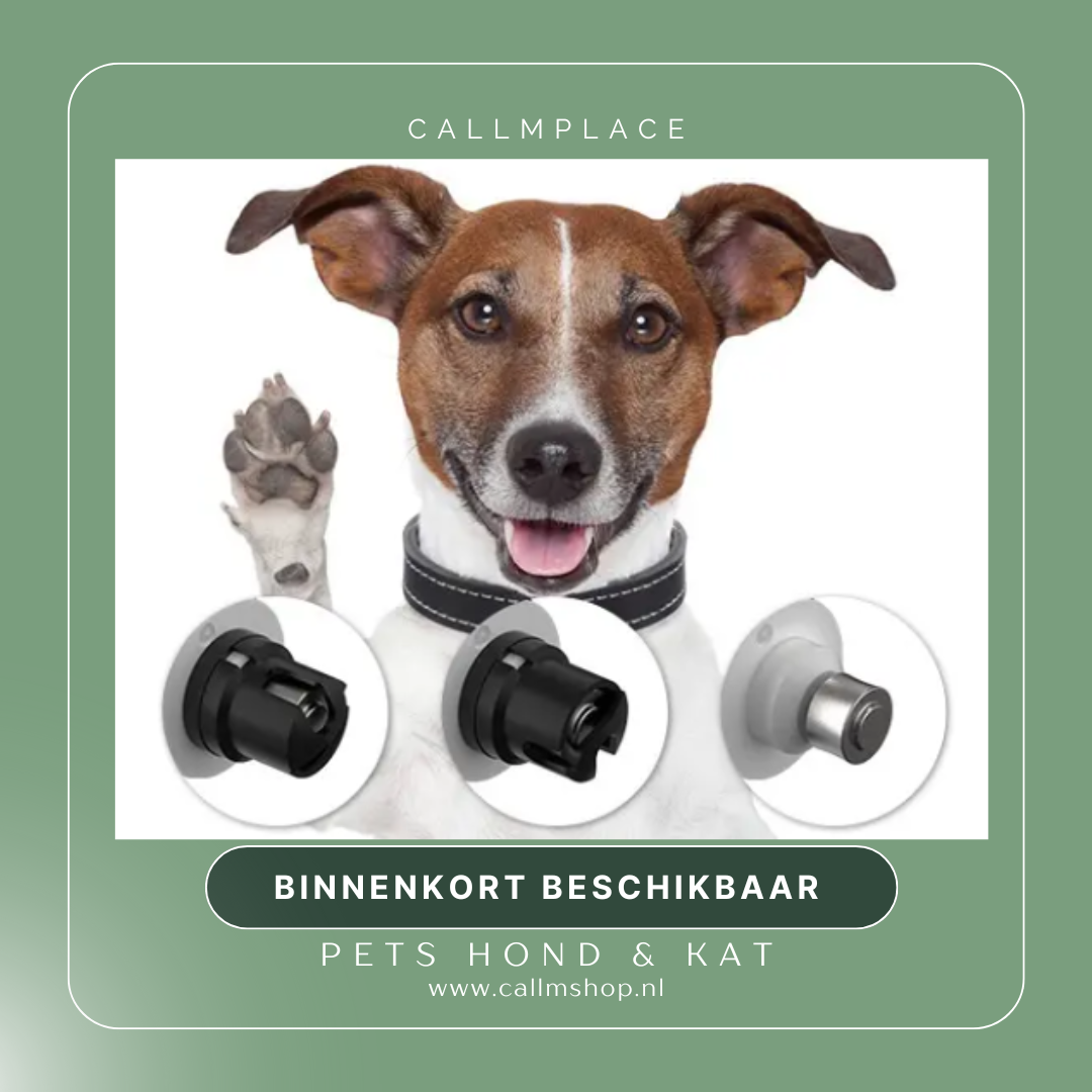 Nagels knippen van je hond of kat | Veilig knippen