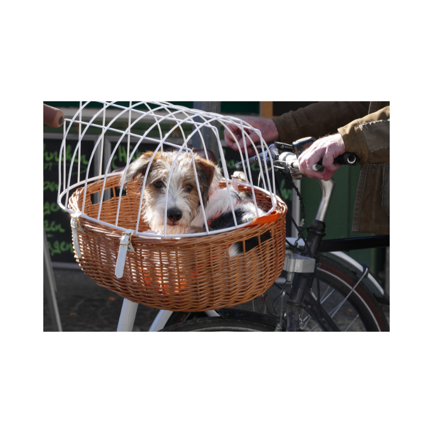 Honden fietsmanden