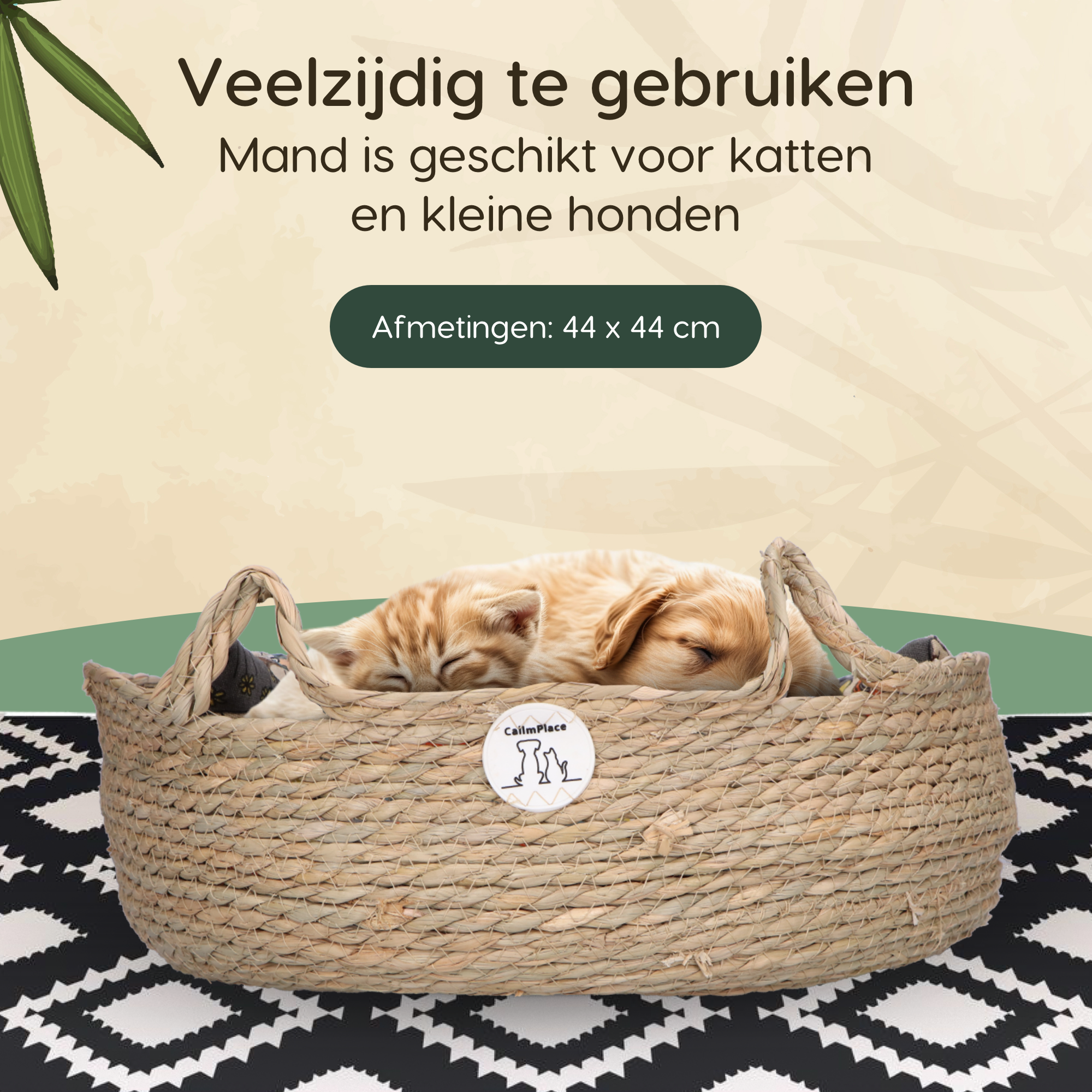 CallmPlace - Rotan Kattenmand - Duurzaam - Kleine hondenmand 44x44 cm - Met Bonte kleur Kussen en Zachte Rand - Comfortabel - Harmony Baskets