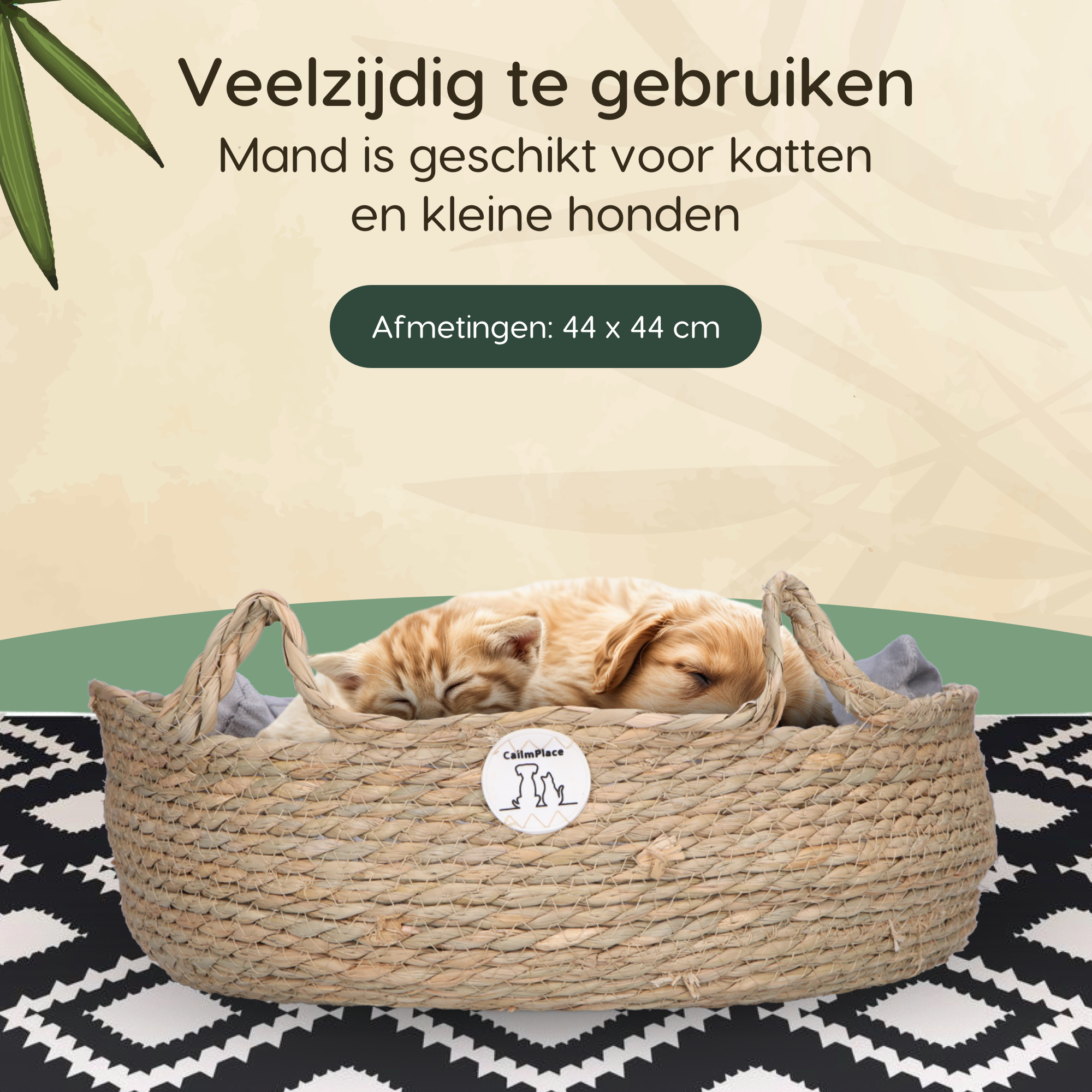 CallmPlace Harmony Baskets - Kattenmand - Rotan Rieten Mand - Zacht Grijs Kussen - Comfortabel en Duurzaam - 44x44 cm