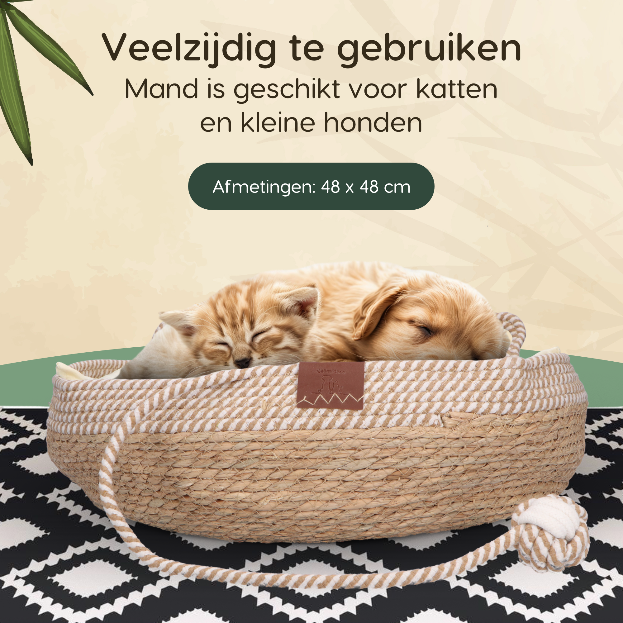 CallmPlace Kattenmand van Rotan – Inclusief Zacht Kussen & Speelbal – Duurzaam, Stijlvol & Comfortabel – Ø48 cm