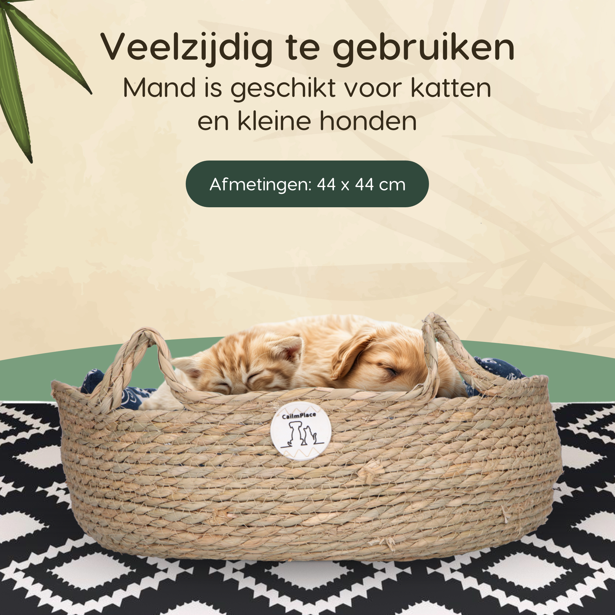 CallmPlace - Kattenmand - Rieten katten mand - Rotan Kattenmand - Duurzaam - Kleine hondenmand 44x44 cm - Met Blauwe Kussen en Zachte Rand - Comfortabel - Harmony Baskets