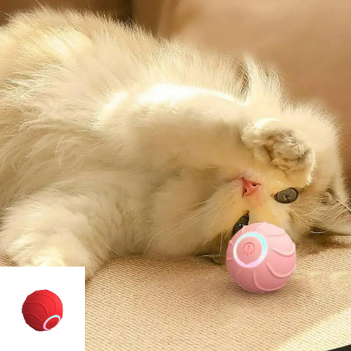 Elektrische automatisch kattenbal | Rood | ook voor kleine honden | Rollende zelf bewegende bal