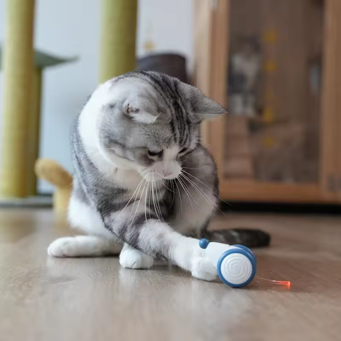 Wicked Mouse: Het Ultieme Interactieve Kattenspeelgoed voor jouw Kat!