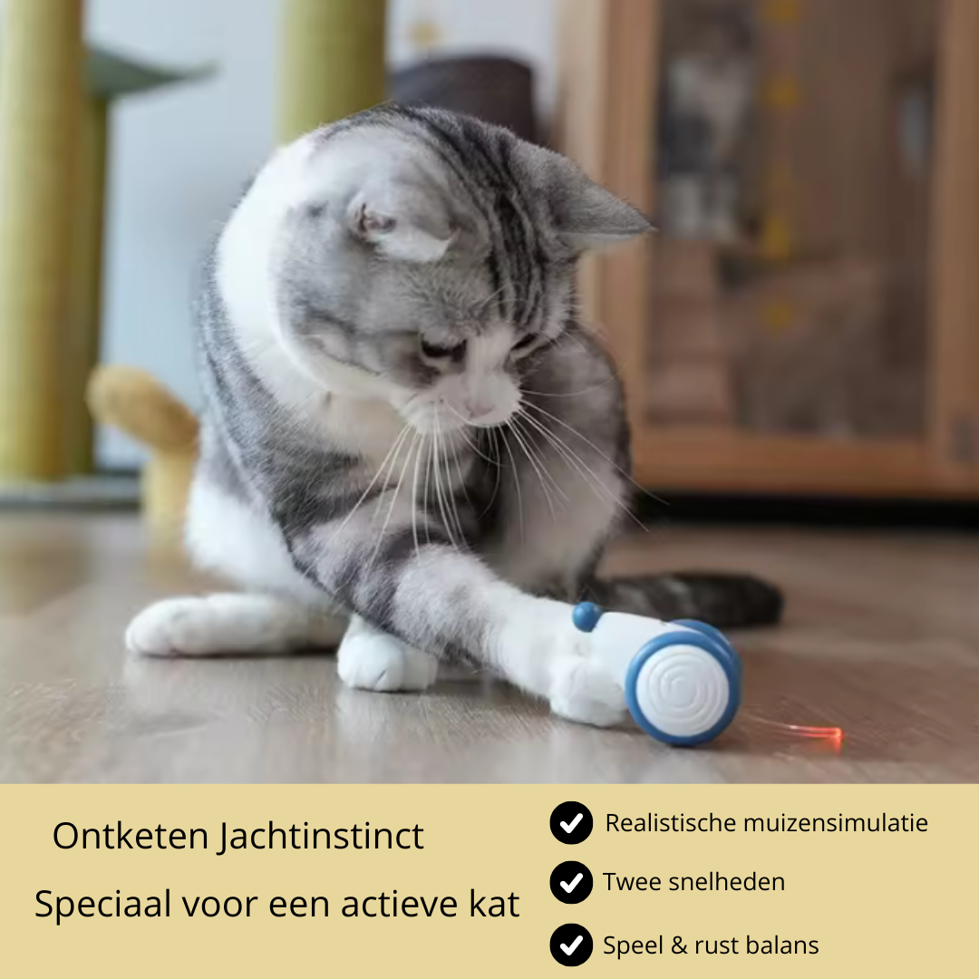 De Wicked Mouse - Slim kattenspeeltje - Jachtinstinct van je kat